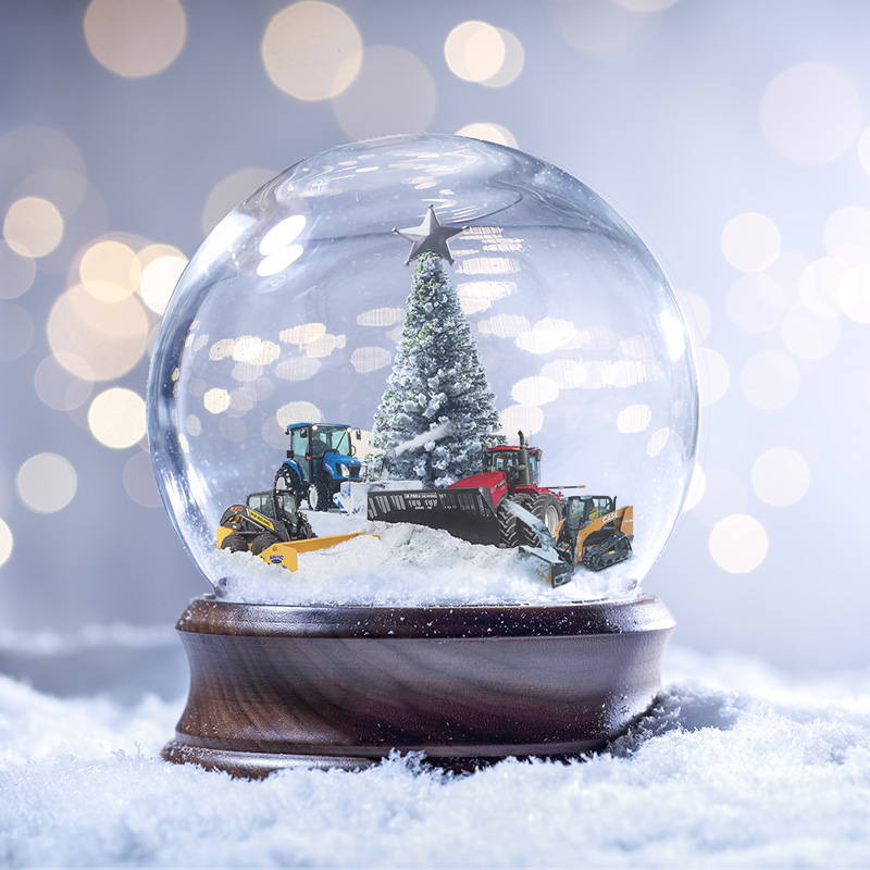 Snow Globe